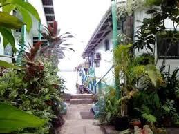 Cocomo On The Sea Bed & Breakfast Bocas del Toro Eksteriør bilde